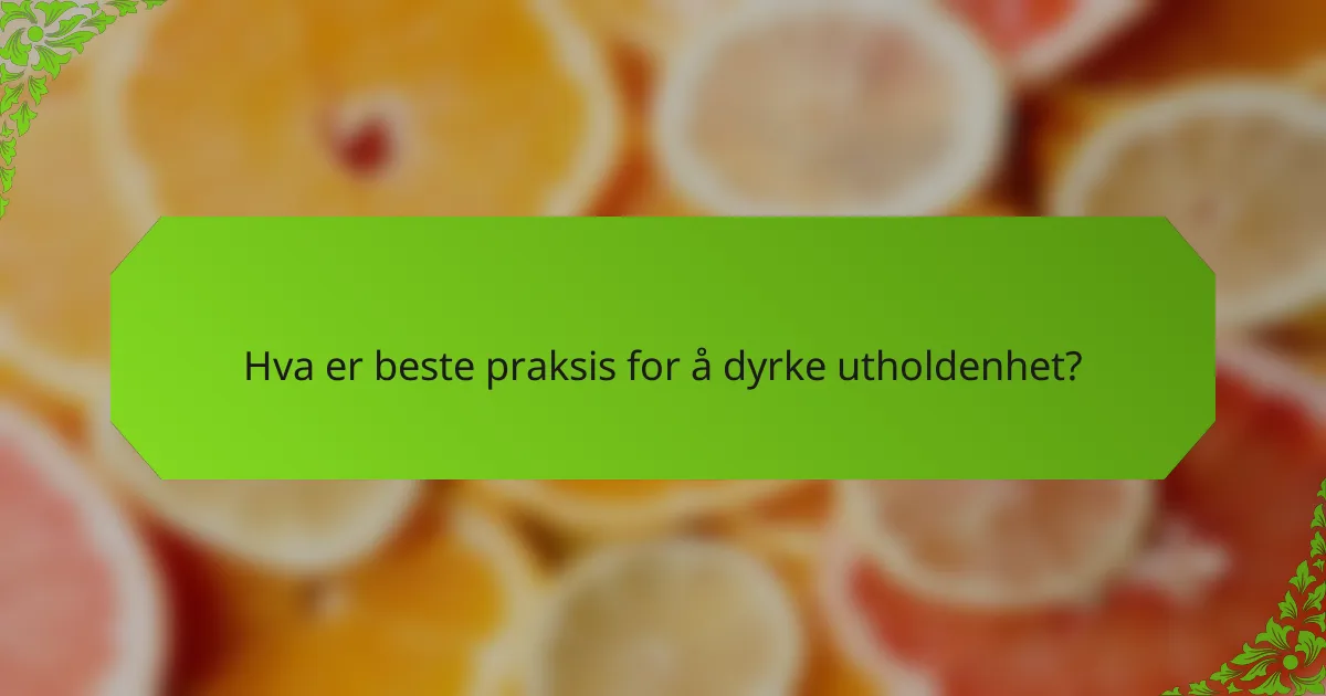 Hva er beste praksis for å dyrke utholdenhet?