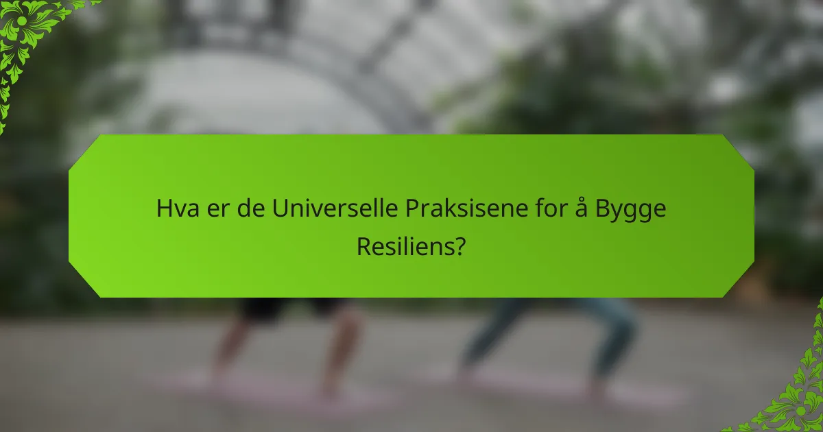 Hva er de Universelle Praksisene for å Bygge Resiliens?